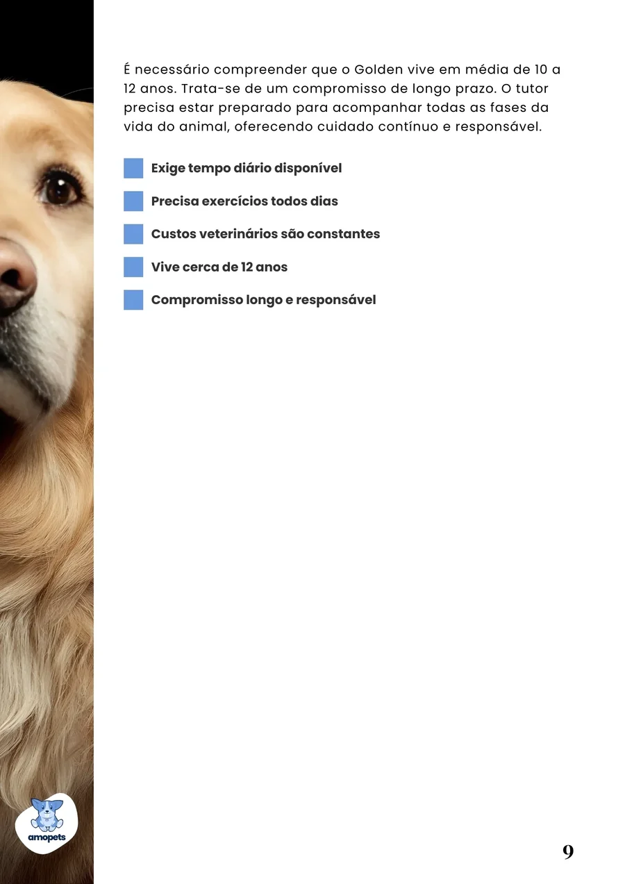 página interna do e-book Guia de Como Cuidar do Golden Retriever