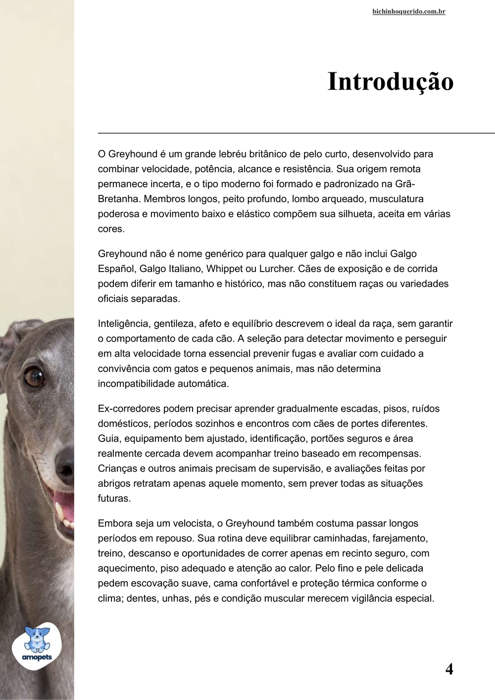 introdução do e-book Guia de Como Cuidar do Greyhound