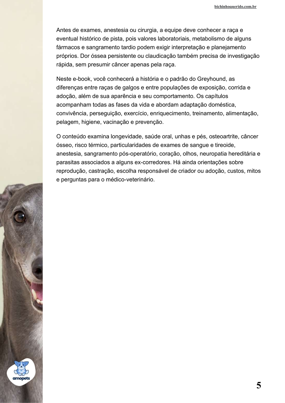 continuação da introdução do e-book Guia de Como Cuidar do Greyhound