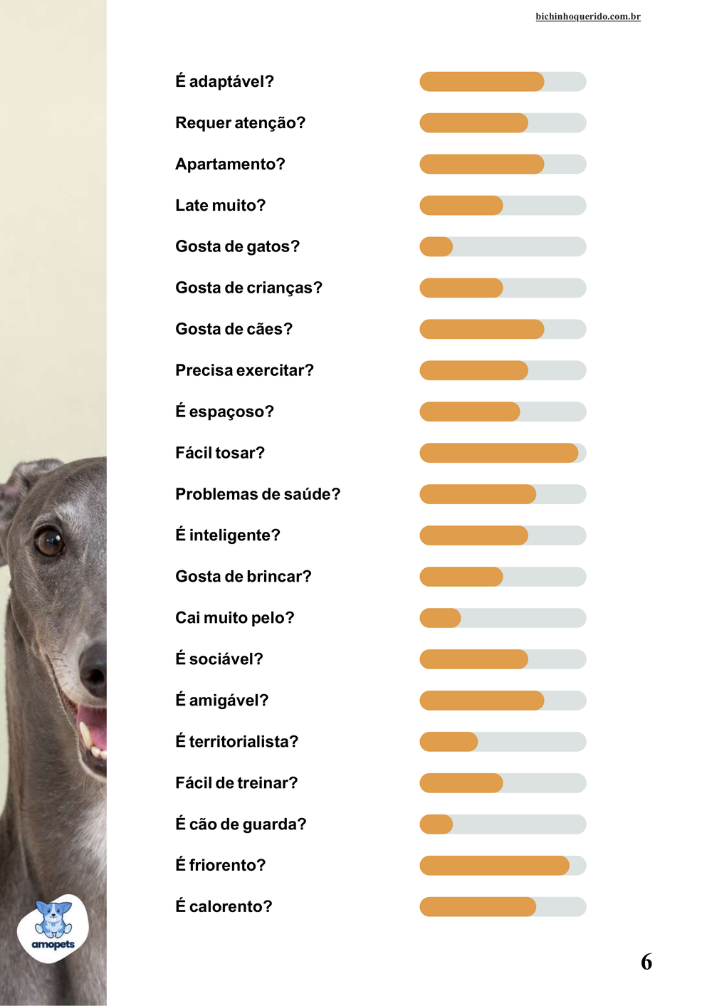 perfil da raça no e-book Guia de Como Cuidar do Greyhound