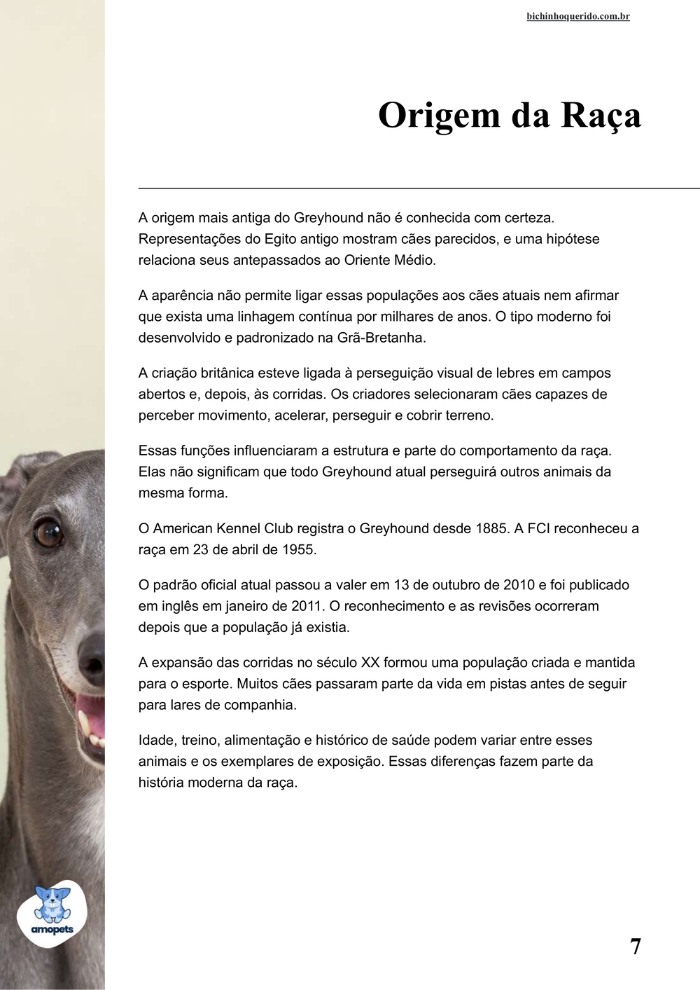 origem da raça no e-book Guia de Como Cuidar do Greyhound