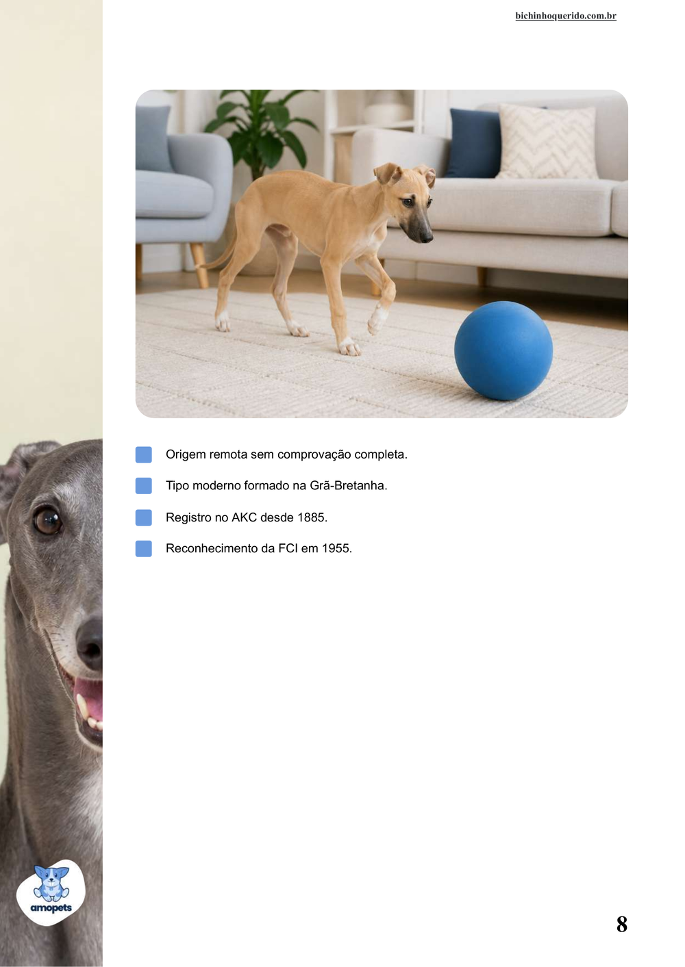 características do Greyhound no e-book Guia de Como Cuidar do Greyhound