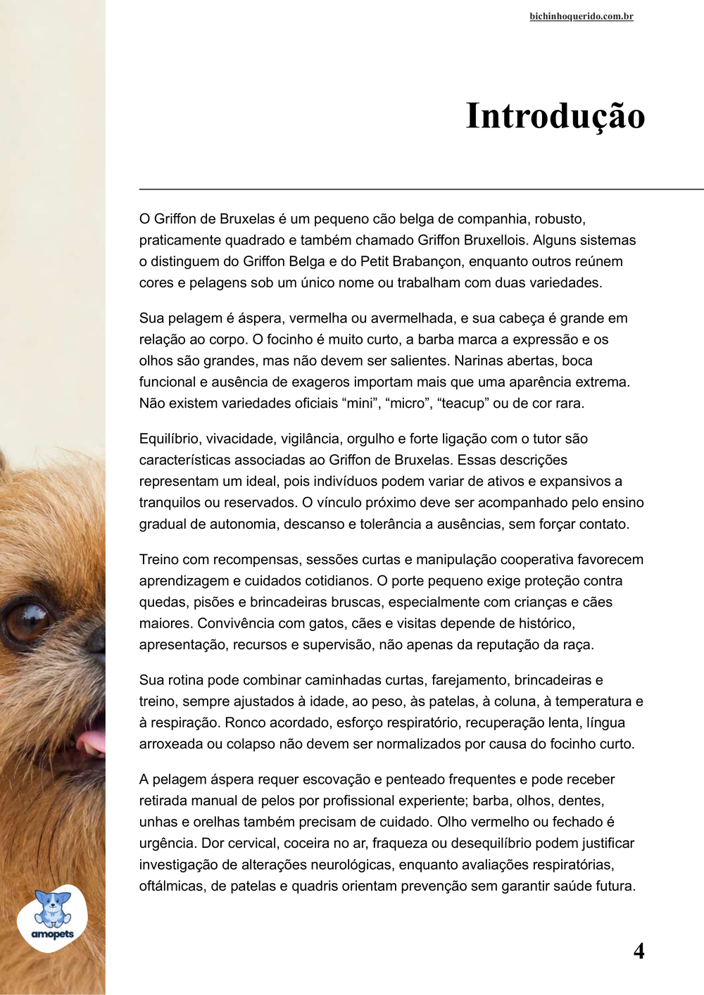 introdução do e-book Guia de Como Cuidar do Griffon de Bruxelas