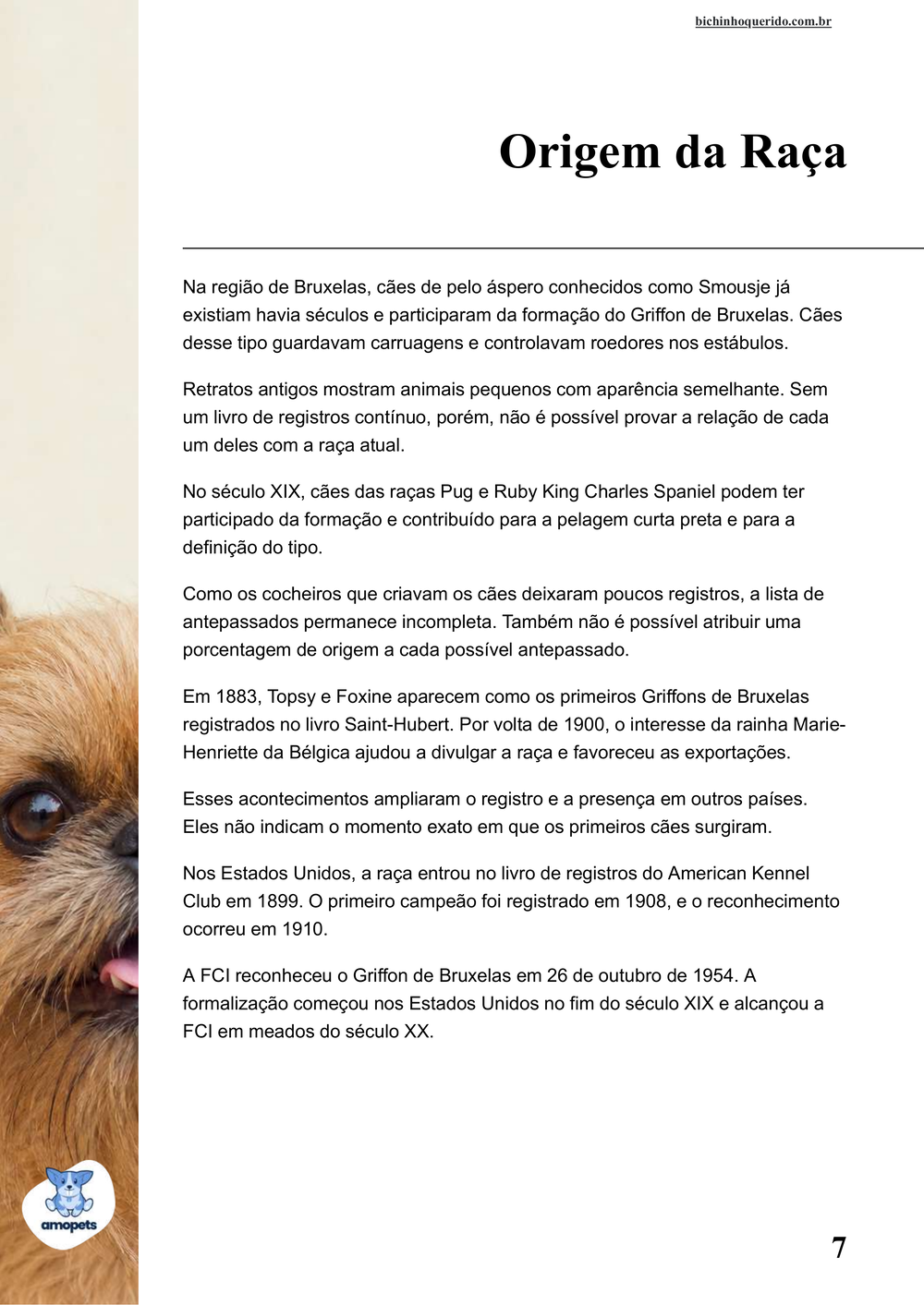 origem da raça no e-book Guia de Como Cuidar do Griffon de Bruxelas