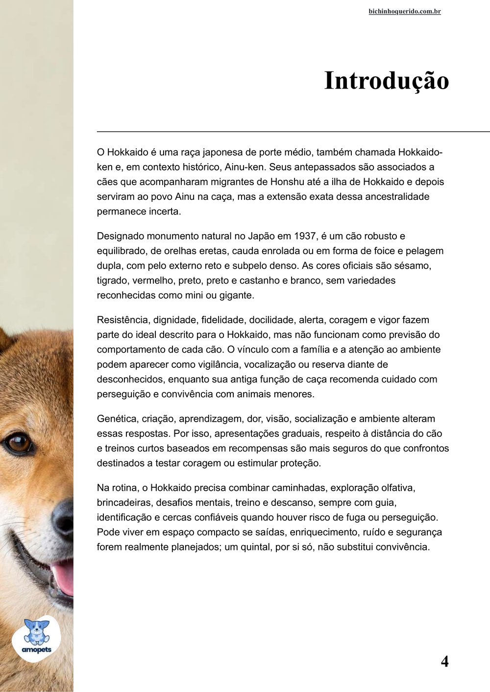 introdução do e-book Guia de Como Cuidar do Hokkaido