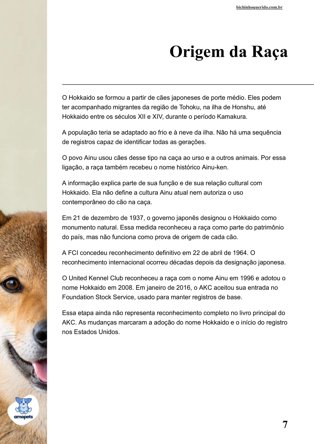 origem da raça no e-book Guia de Como Cuidar do Hokkaido