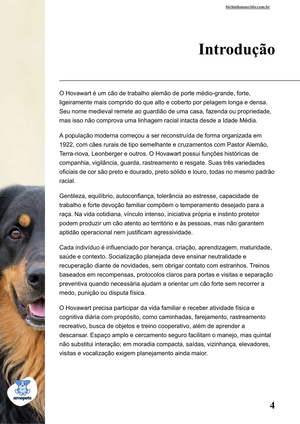 introdução do e-book Guia de Como Cuidar do Hovawart