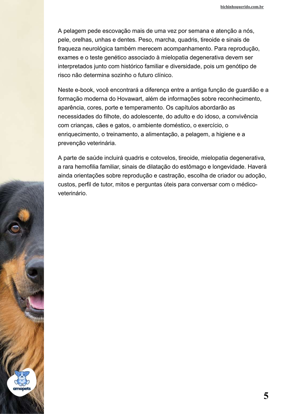 continuação da introdução do e-book Guia de Como Cuidar do Hovawart