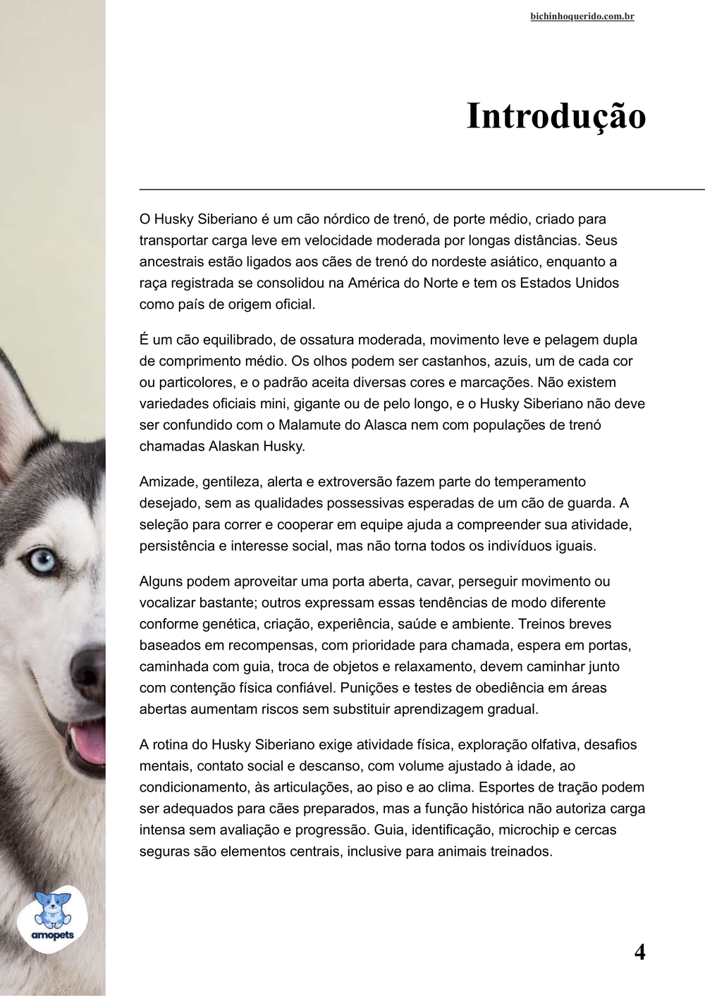 introdução do e-book Guia de Como Cuidar do Husky Siberiano