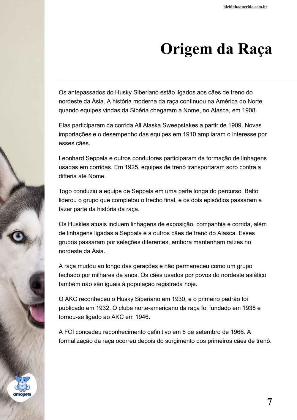 origem da raça no e-book Guia de Como Cuidar do Husky Siberiano