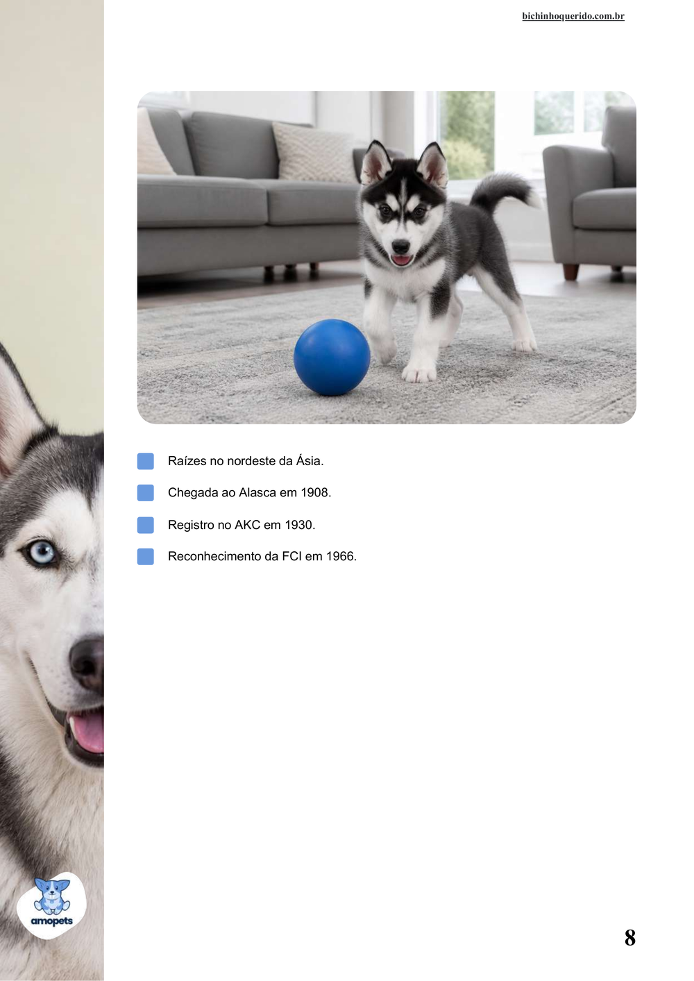 características do Husky Siberiano no e-book Guia de Como Cuidar do Husky Siberiano