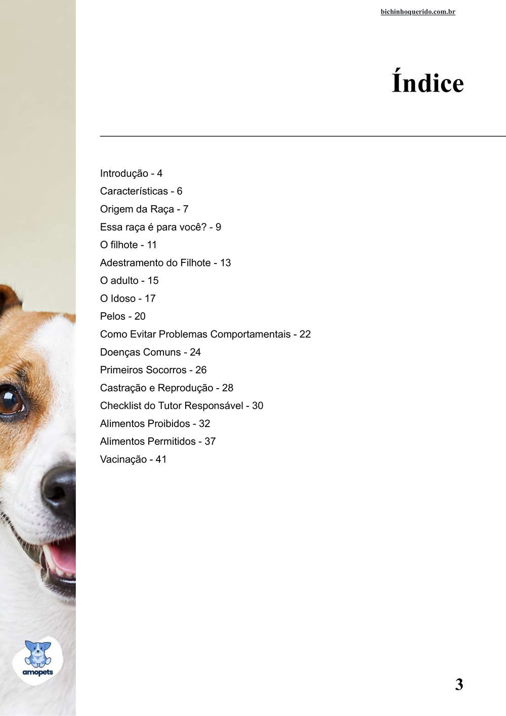 índice do e-book Guia de Como Cuidar do Jack Russell Terrier