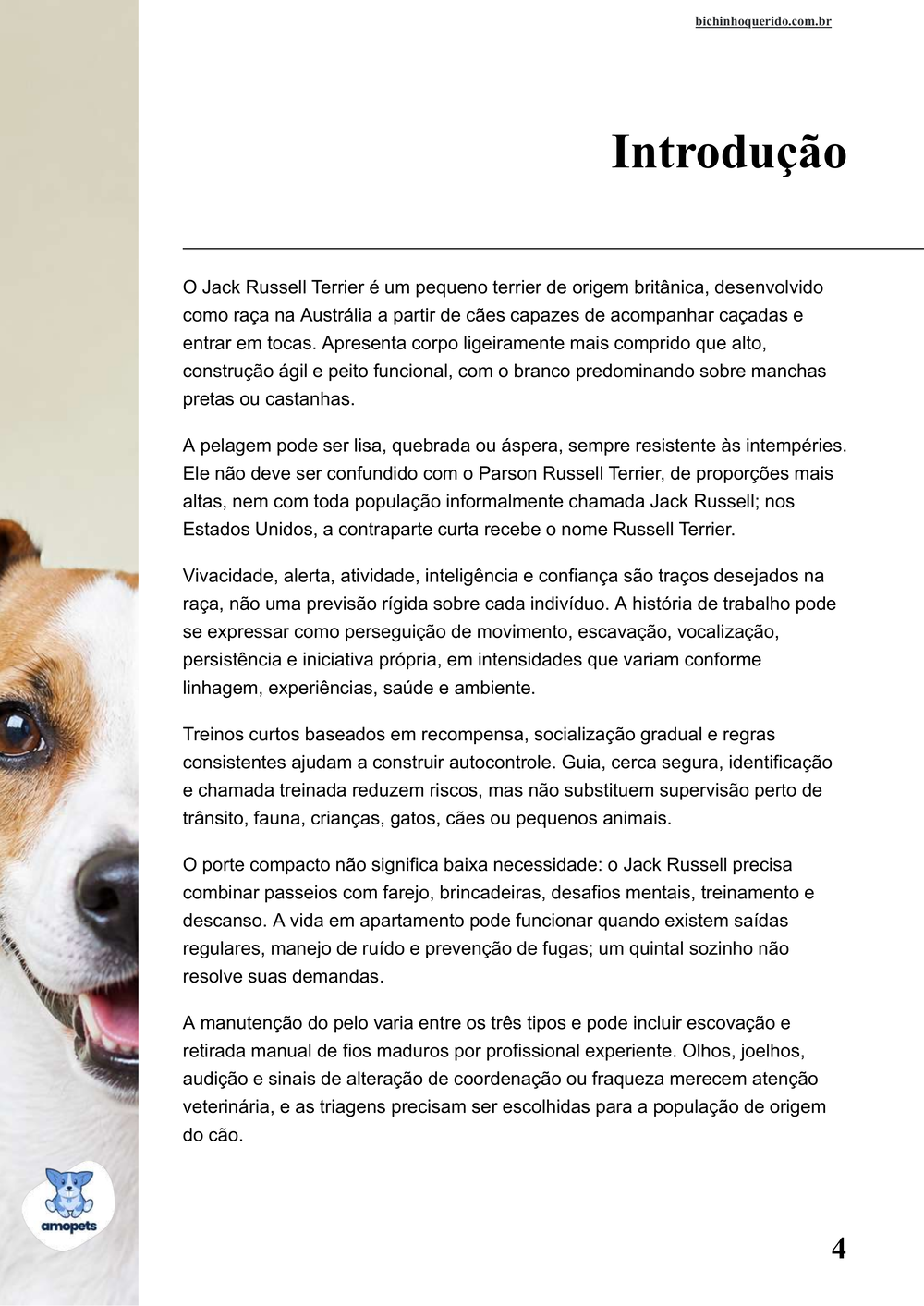 introdução do e-book Guia de Como Cuidar do Jack Russell Terrier