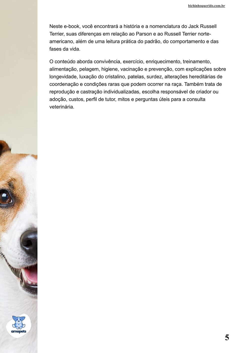 continuação da introdução do e-book Guia de Como Cuidar do Jack Russell Terrier