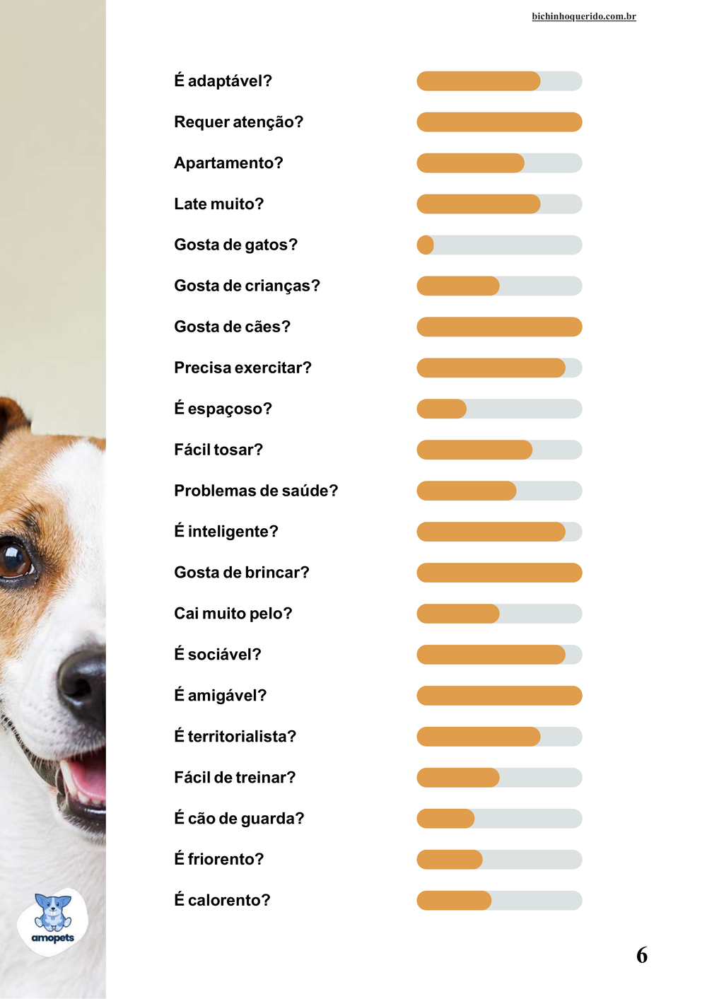perfil da raça no e-book Guia de Como Cuidar do Jack Russell Terrier