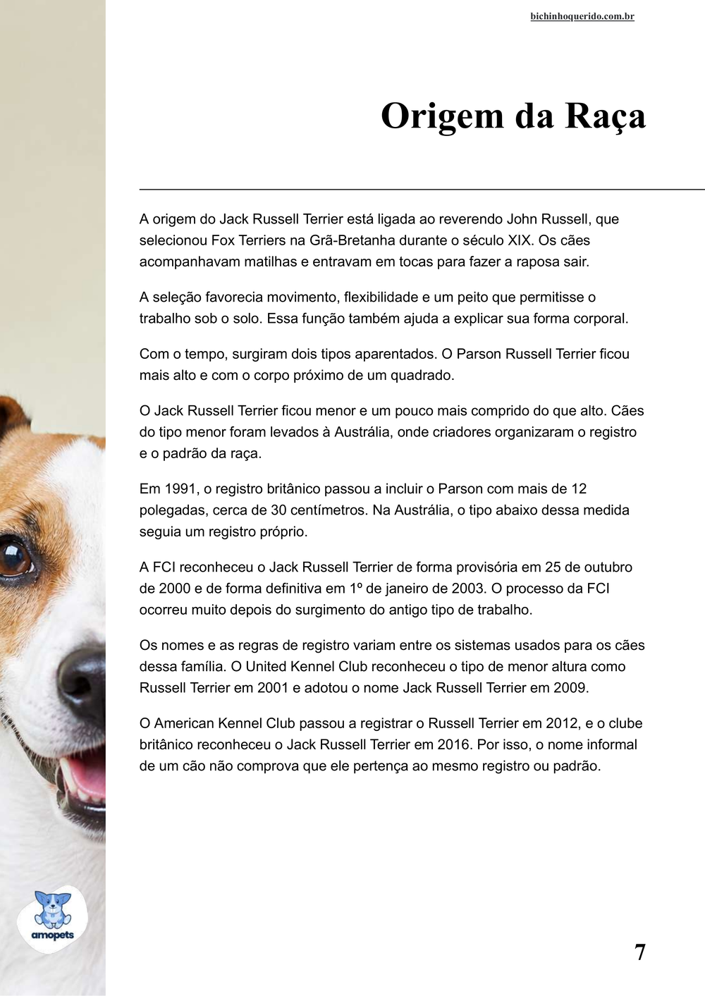 origem da raça no e-book Guia de Como Cuidar do Jack Russell Terrier