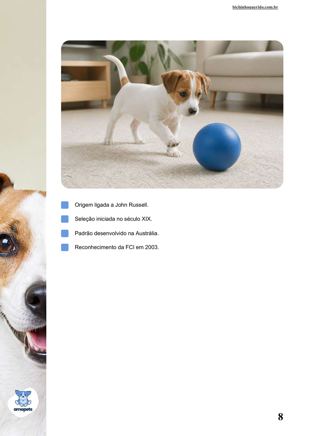 características do Jack Russell Terrier no e-book Guia de Como Cuidar do Jack Russell Terrier