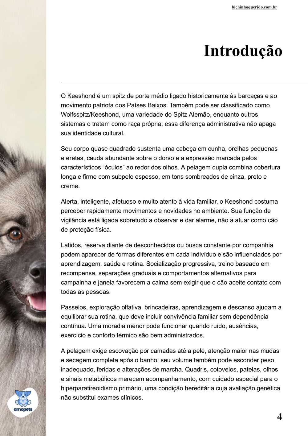 introdução do e-book Guia de Como Cuidar do Keeshond