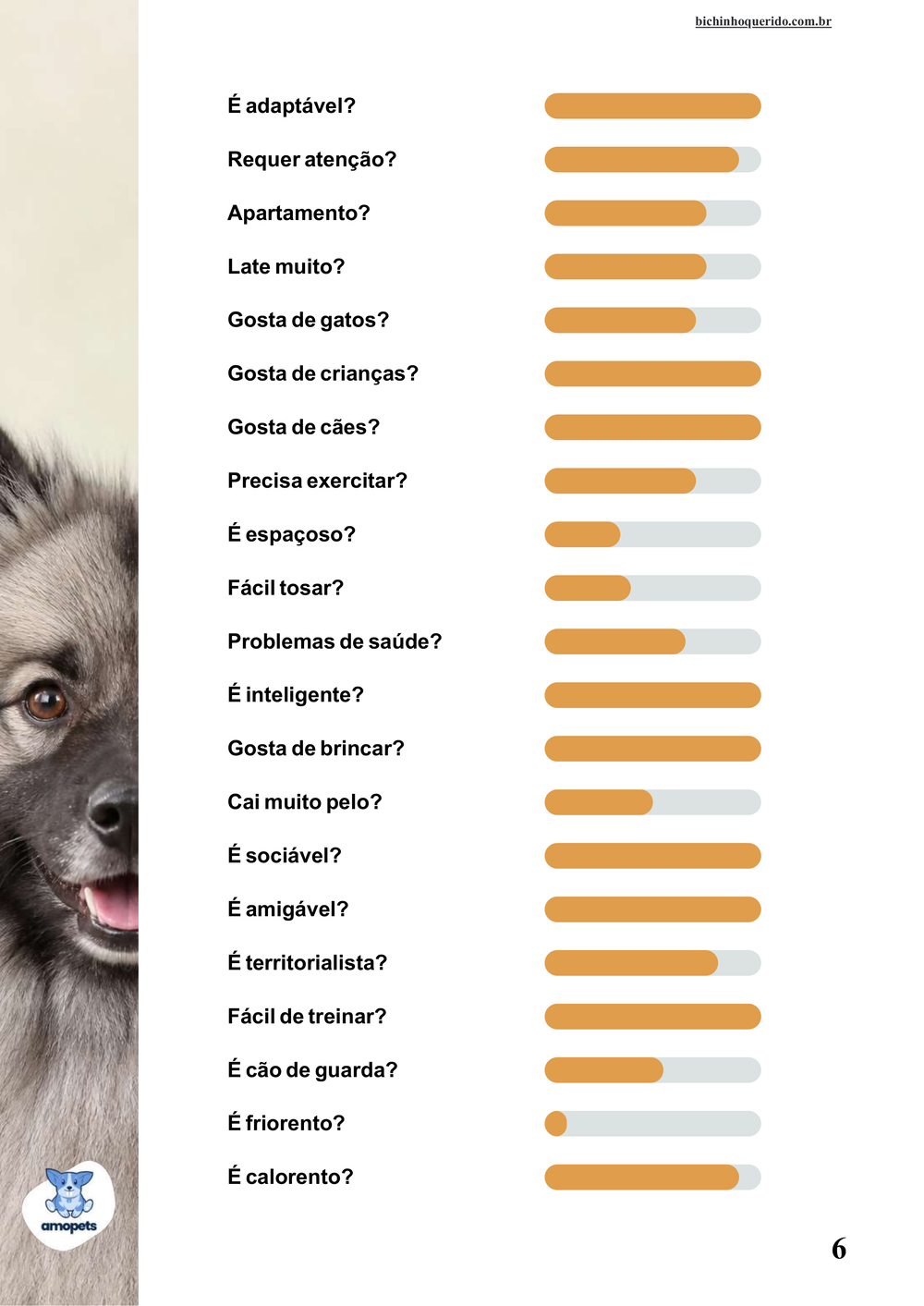 perfil da raça no e-book Guia de Como Cuidar do Keeshond