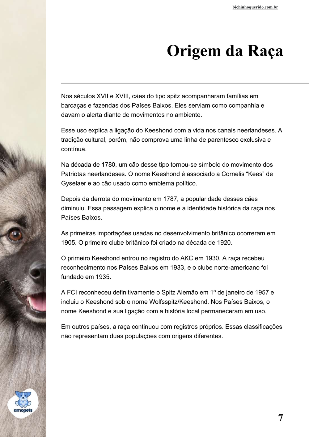 origem da raça no e-book Guia de Como Cuidar do Keeshond