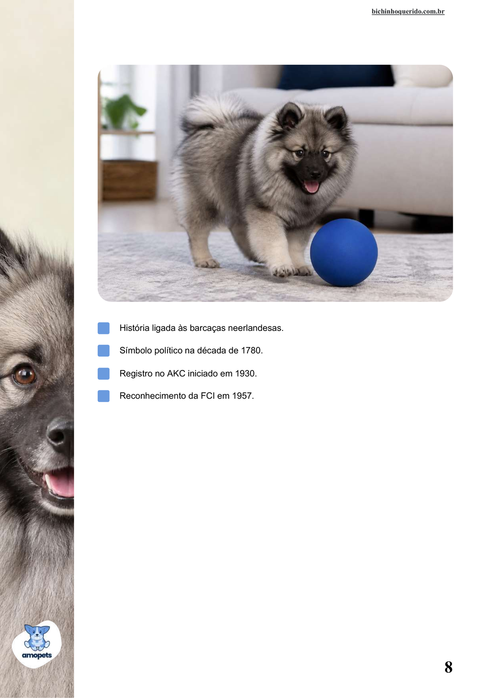 características do Keeshond no e-book Guia de Como Cuidar do Keeshond