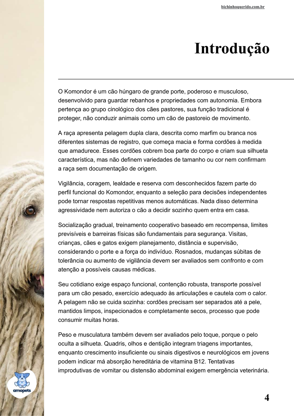 introdução do e-book Guia de Como Cuidar do Komondor