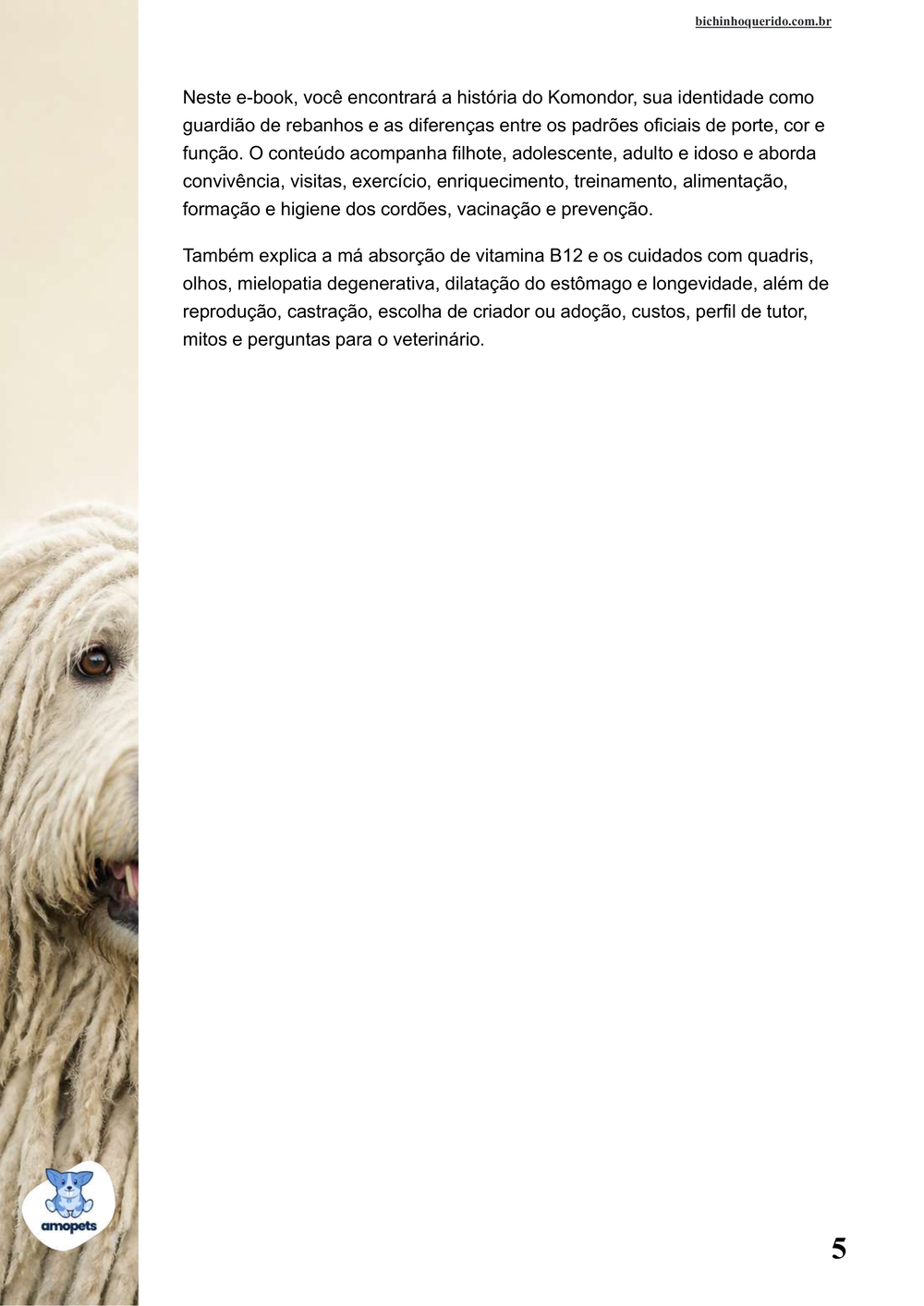 continuação da introdução do e-book Guia de Como Cuidar do Komondor
