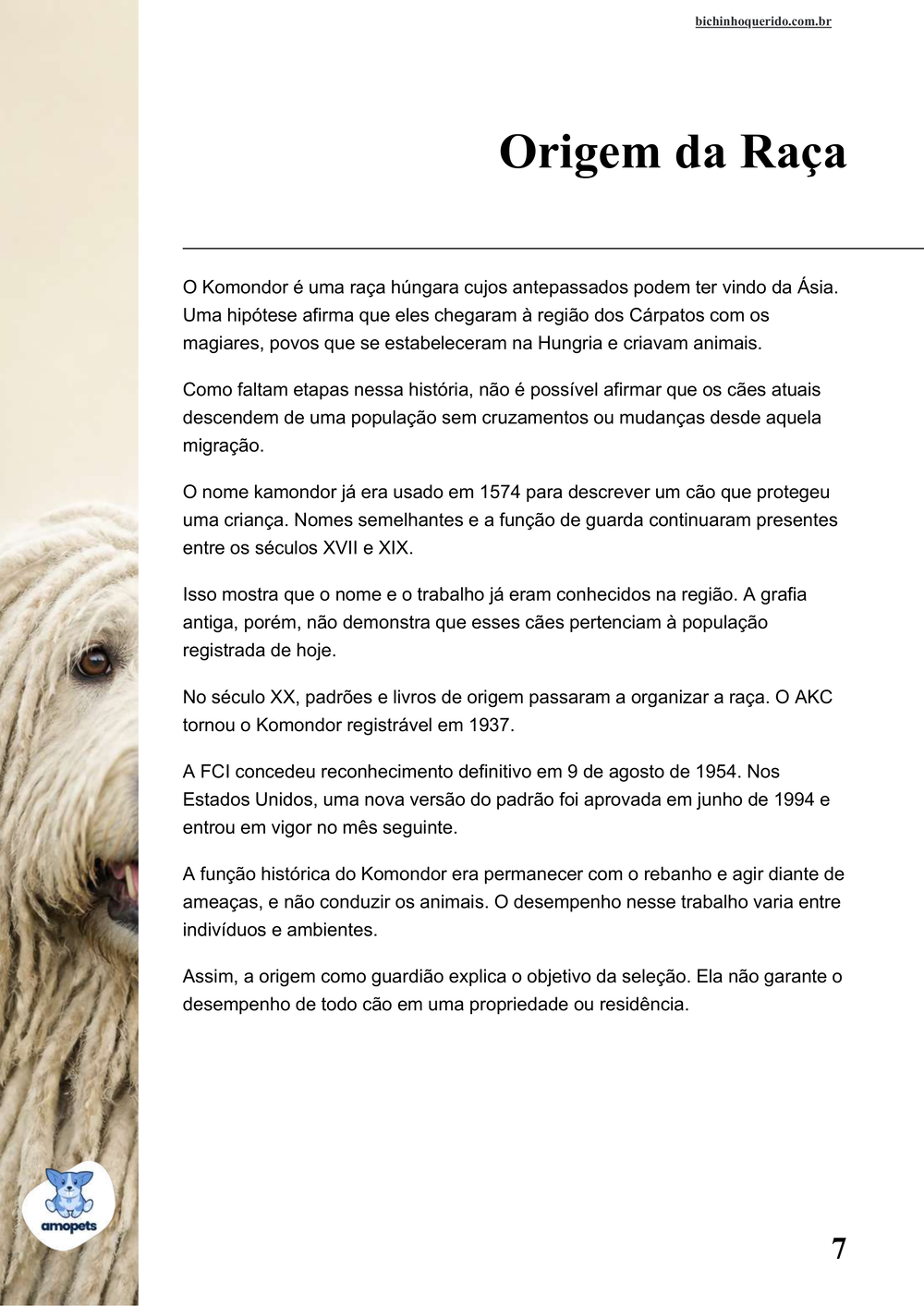 origem da raça no e-book Guia de Como Cuidar do Komondor