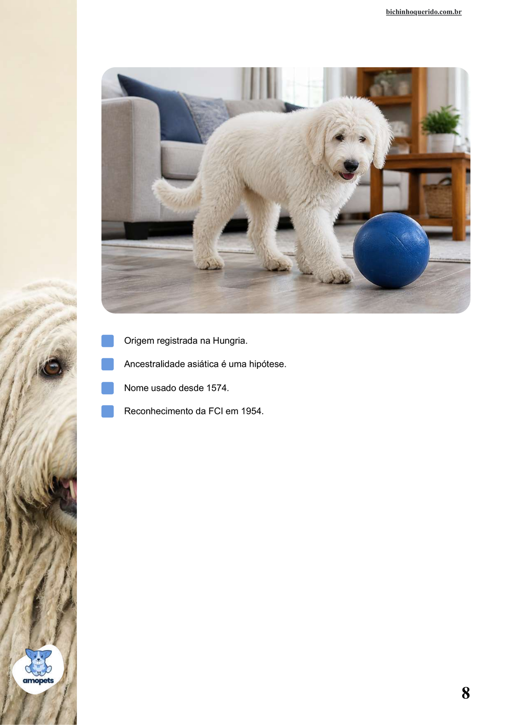 características do Komondor no e-book Guia de Como Cuidar do Komondor