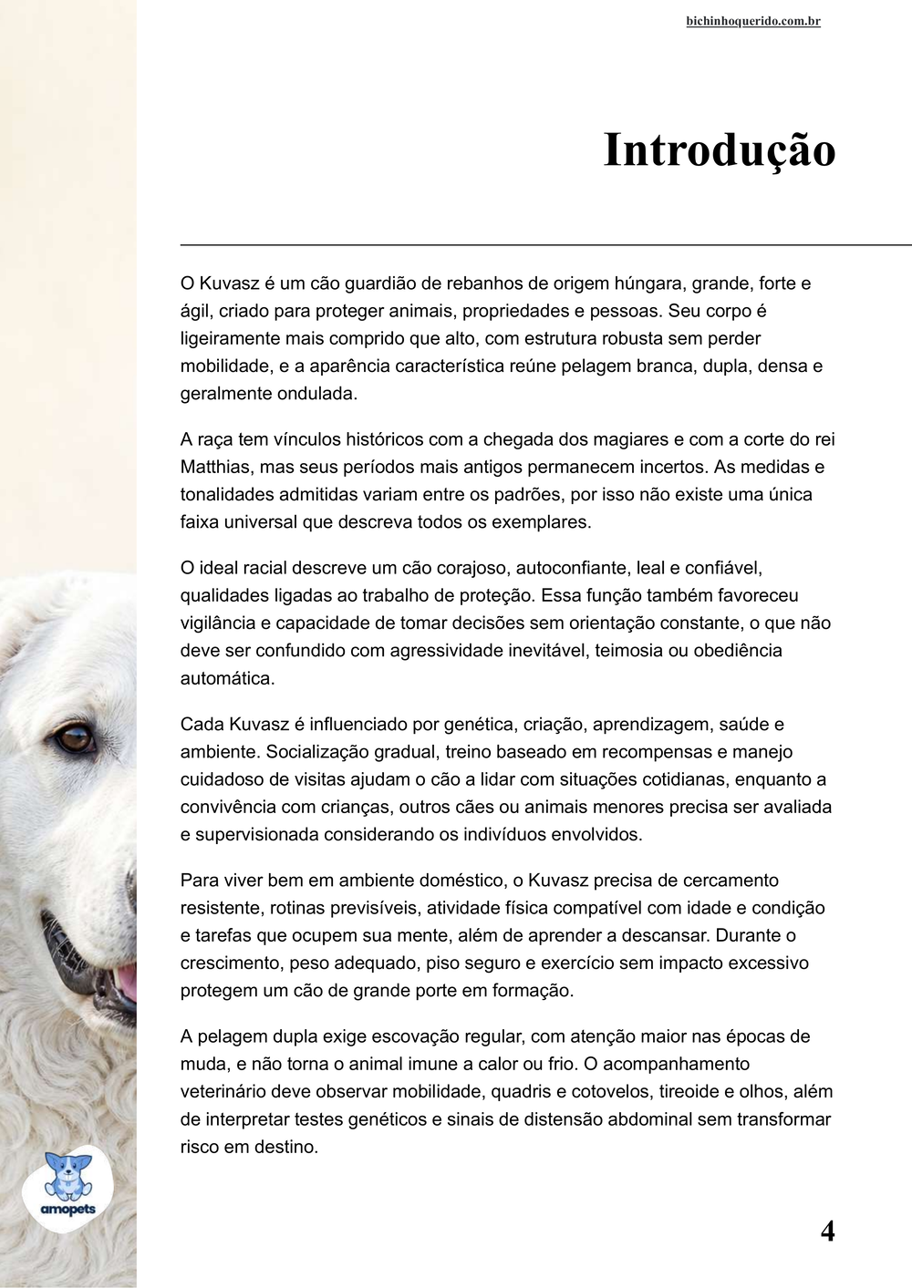 introdução do e-book Guia de Como Cuidar do Kuvasz