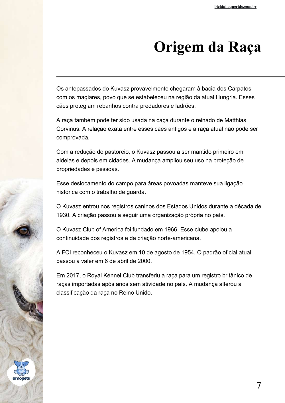 origem da raça no e-book Guia de Como Cuidar do Kuvasz