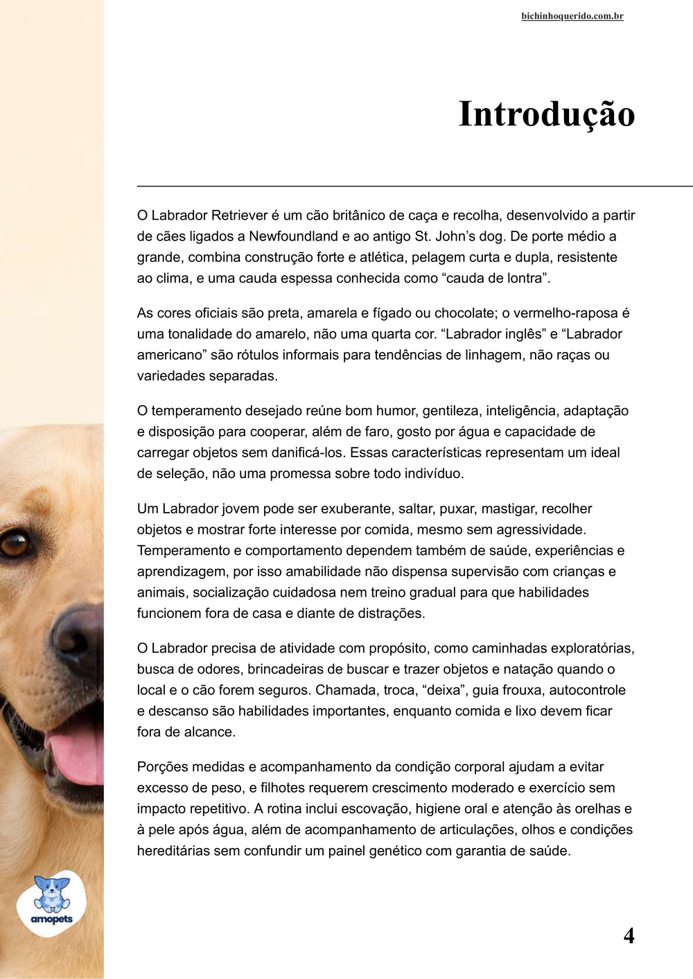 introdução do e-book Guia de Como Cuidar do Labrador Retriever
