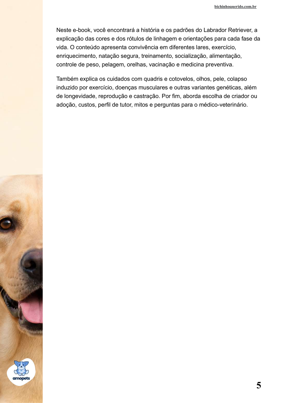 continuação da introdução do e-book Guia de Como Cuidar do Labrador Retriever