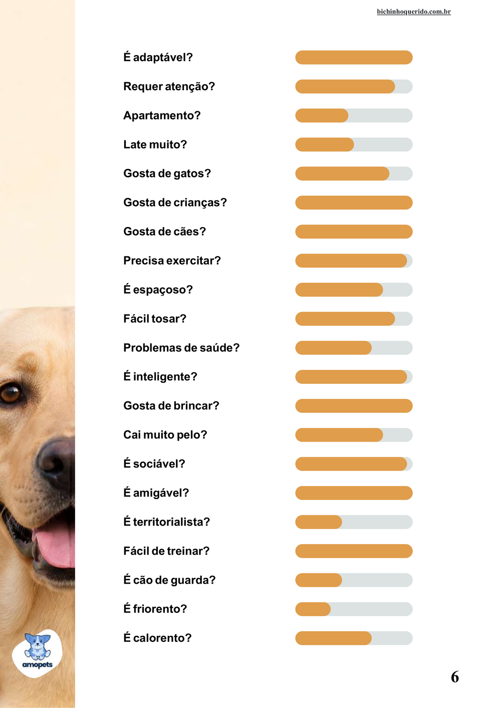 perfil da raça no e-book Guia de Como Cuidar do Labrador Retriever