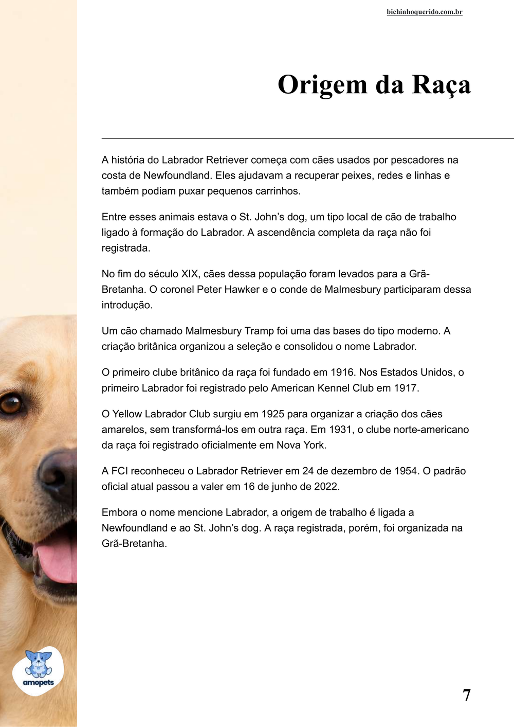 origem da raça no e-book Guia de Como Cuidar do Labrador Retriever