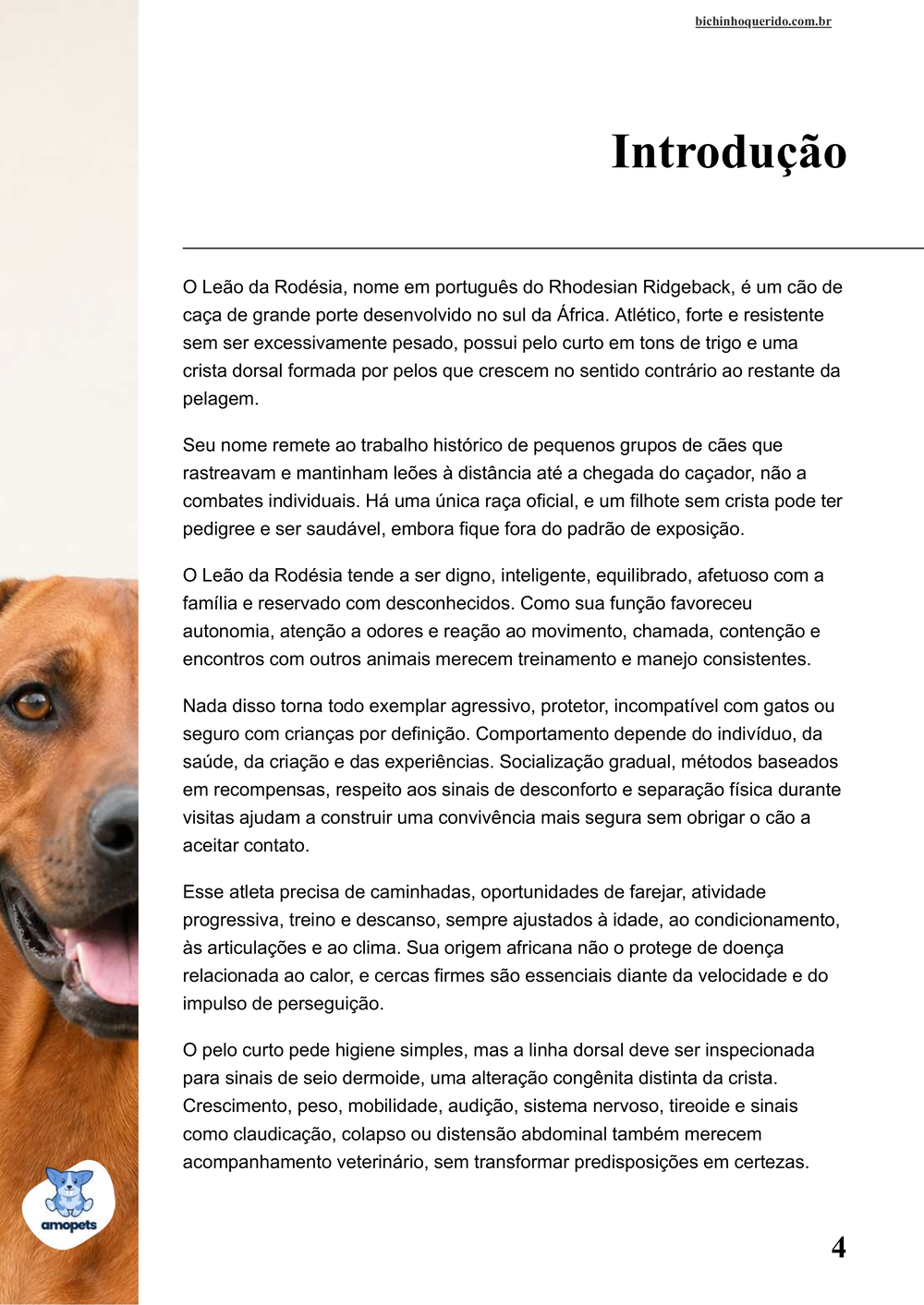introdução do e-book Guia de Como Cuidar do Leão da Rodésia