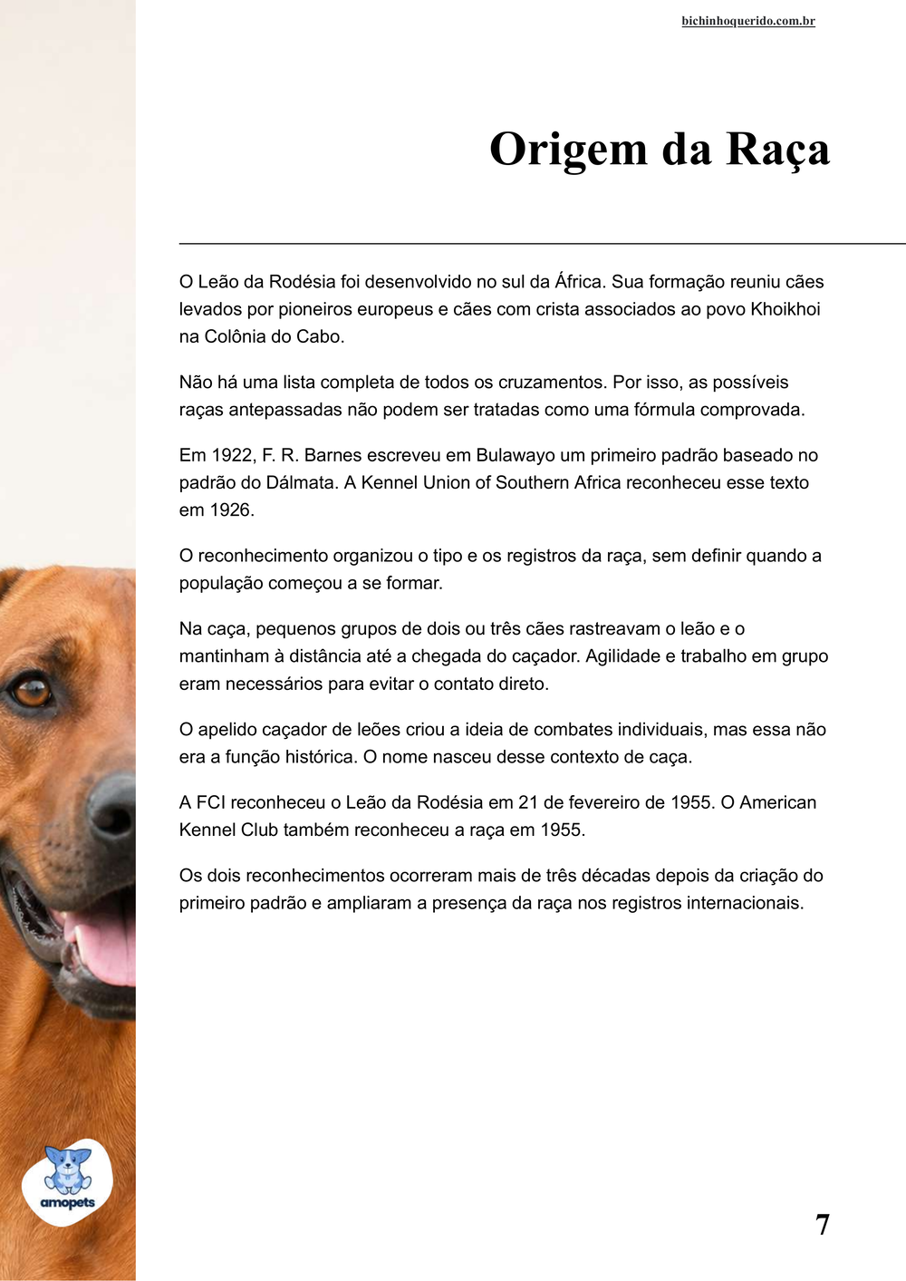 origem da raça no e-book Guia de Como Cuidar do Leão da Rodésia