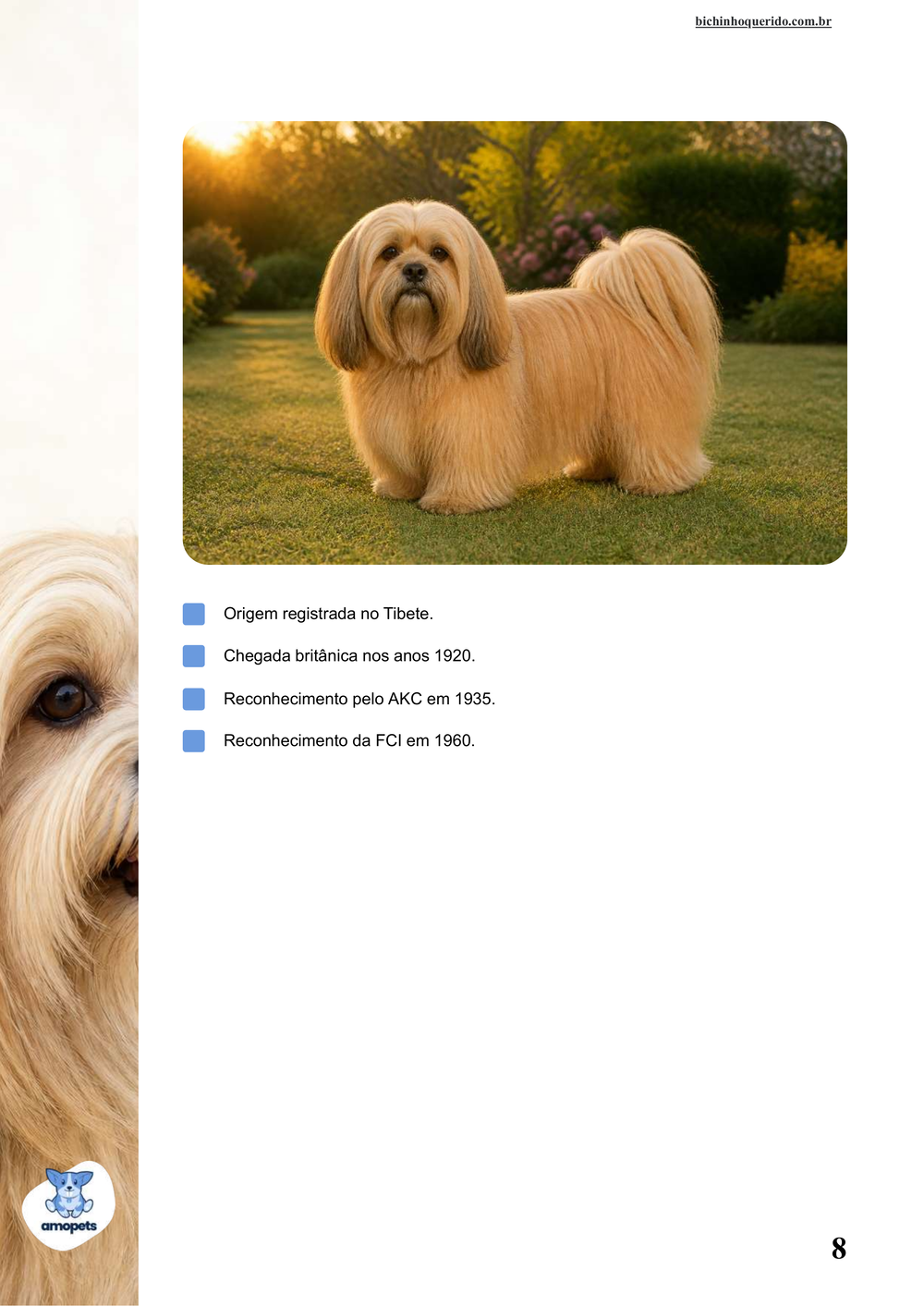 características do Lhasa Apso no e-book Guia de Como Cuidar do Lhasa Apso