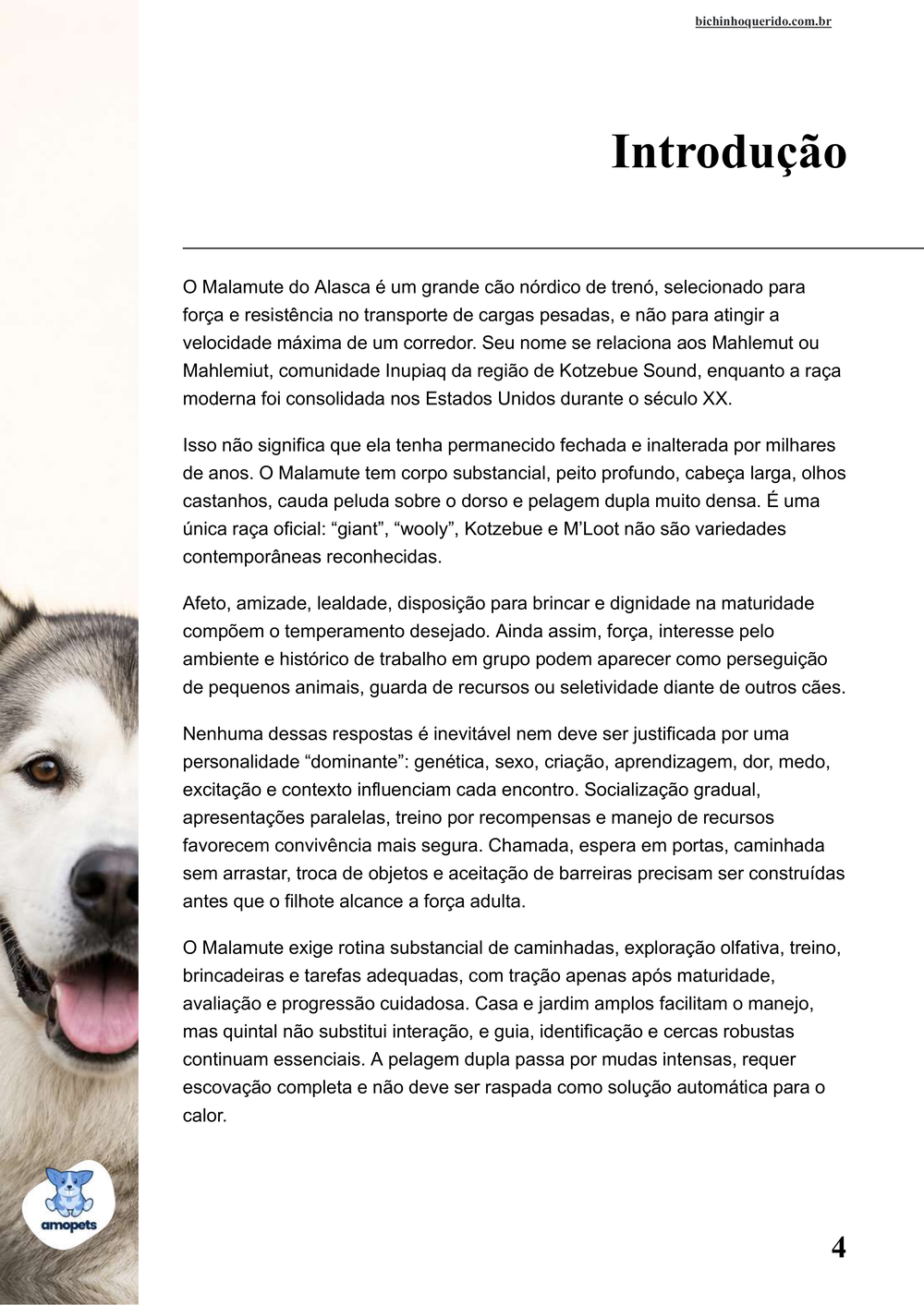 introdução do e-book Guia de Como Cuidar do Malamute do Alasca