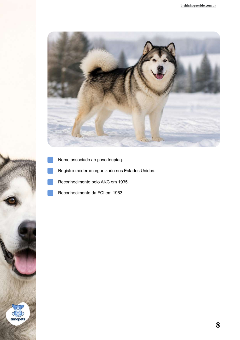 características do Malamute do Alasca no e-book Guia de Como Cuidar do Malamute do Alasca