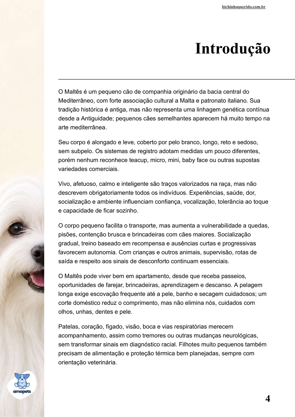 introdução do e-book Guia de Como Cuidar do Maltês