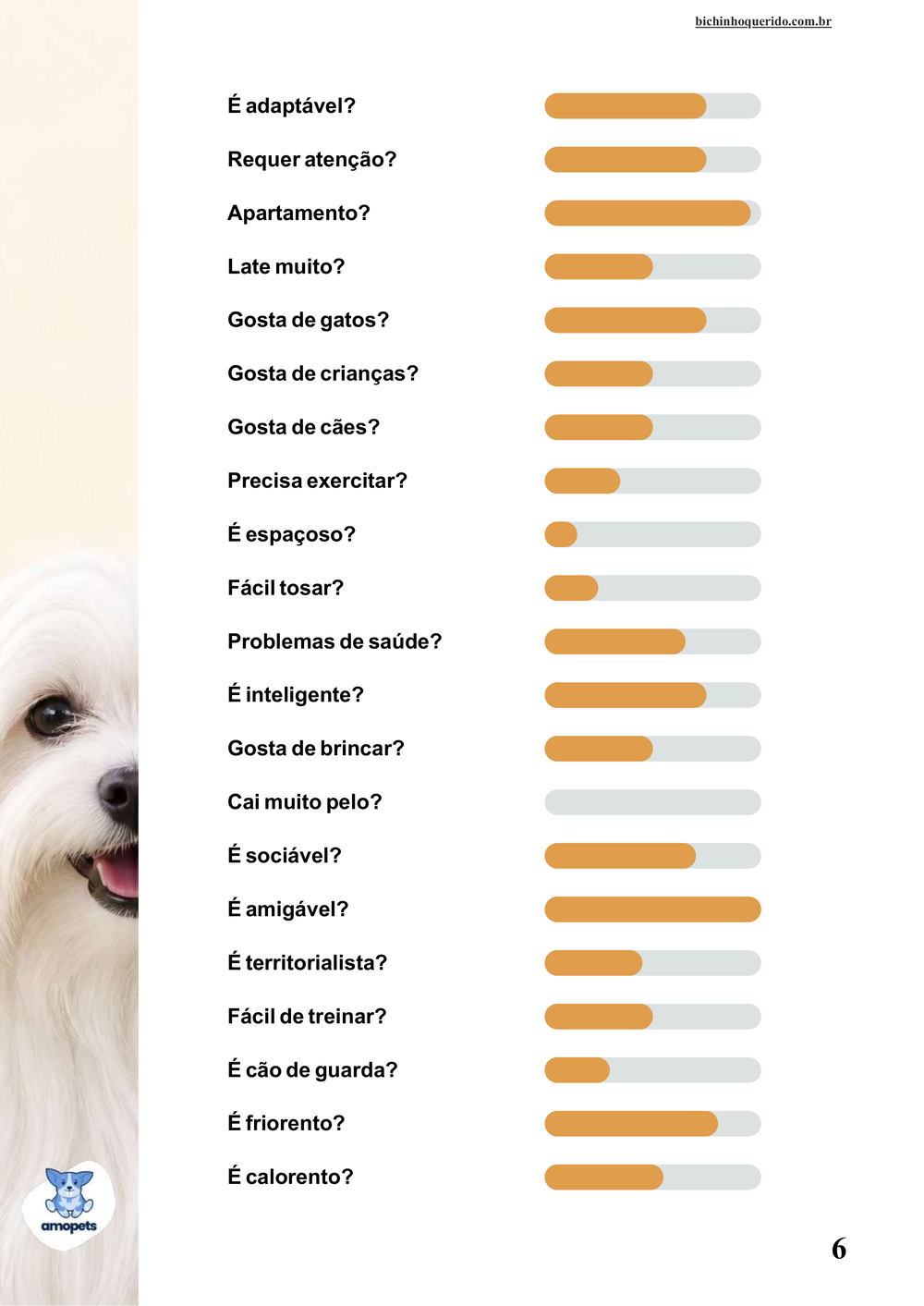 perfil da raça no e-book Guia de Como Cuidar do Maltês
