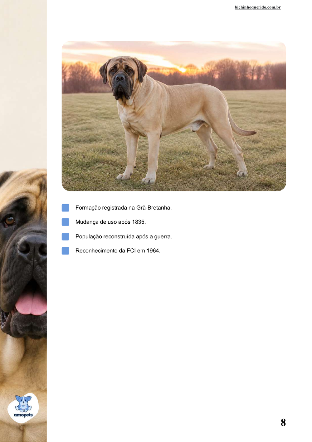 características do Mastiff no e-book Guia de Como Cuidar do Mastiff