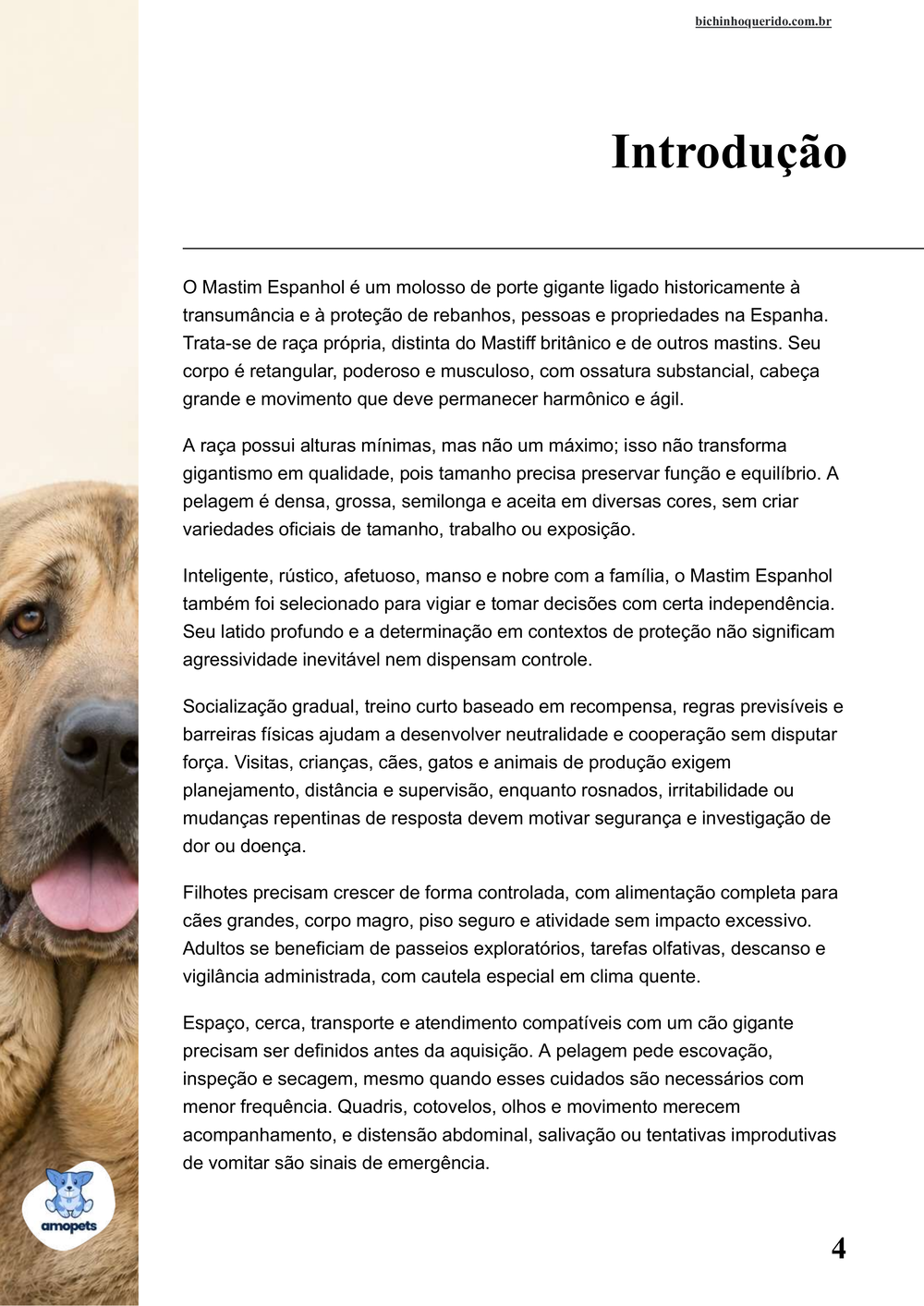 introdução do e-book Guia de Como Cuidar do Mastim Espanhol