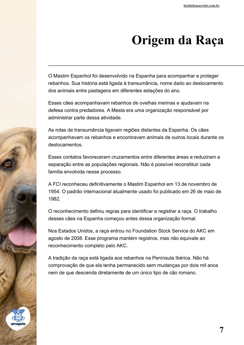 origem da raça no e-book Guia de Como Cuidar do Mastim Espanhol