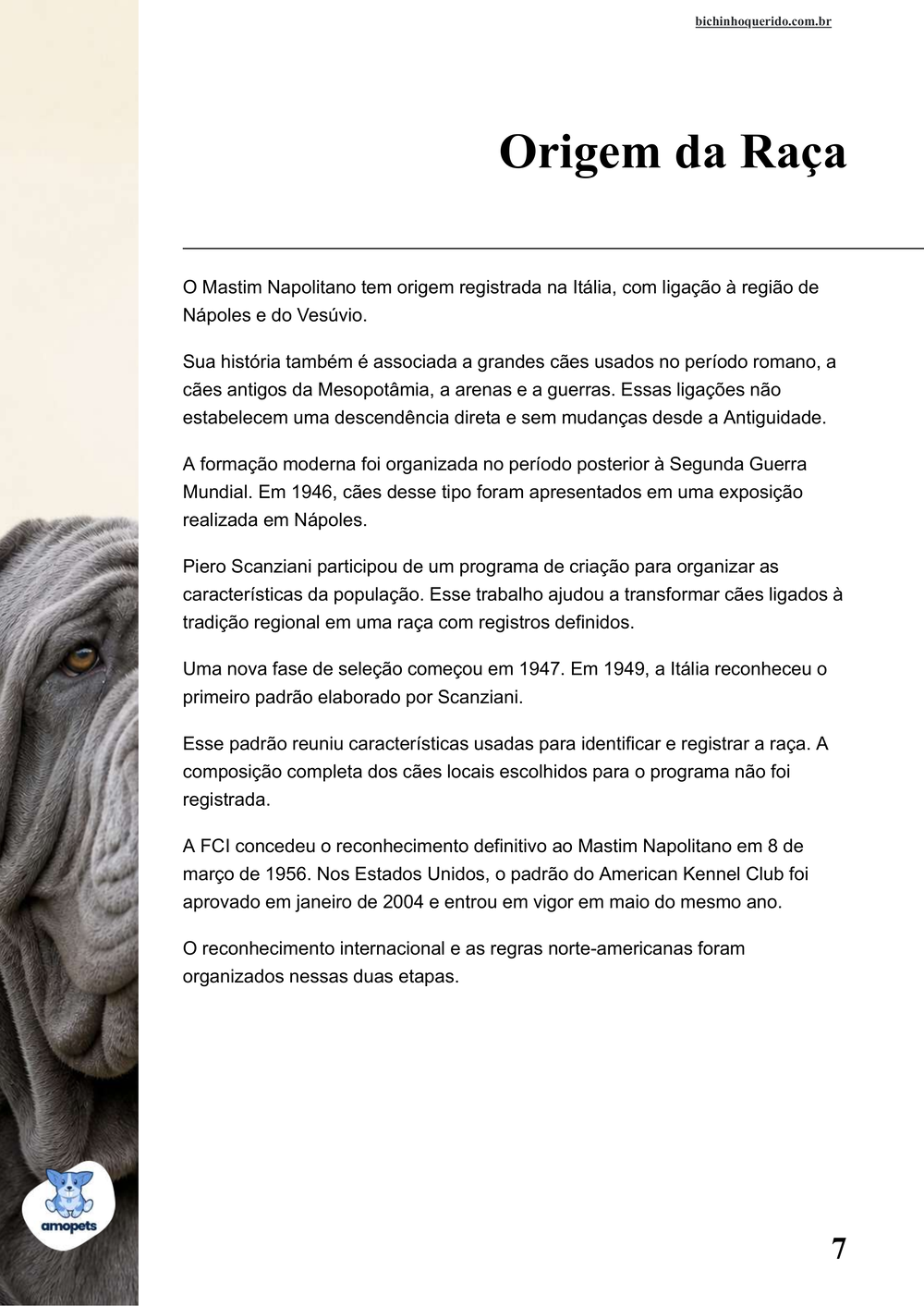 origem da raça no e-book Guia de Como Cuidar do Mastim Napolitano