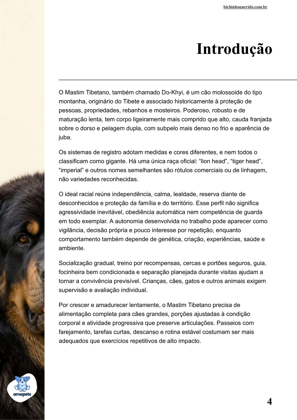 introdução do e-book Guia de Como Cuidar do Mastim Tibetano