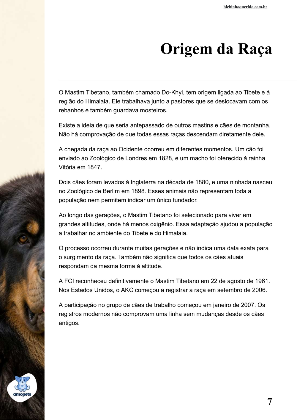 origem da raça no e-book Guia de Como Cuidar do Mastim Tibetano