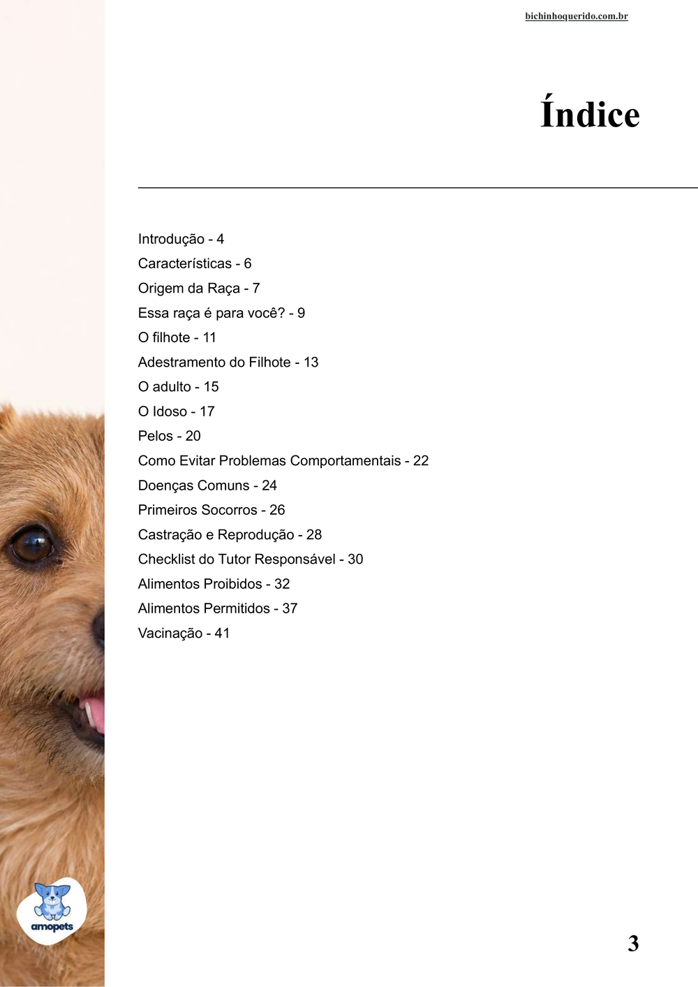 índice do e-book Guia de Como Cuidar do Norfolk Terrier