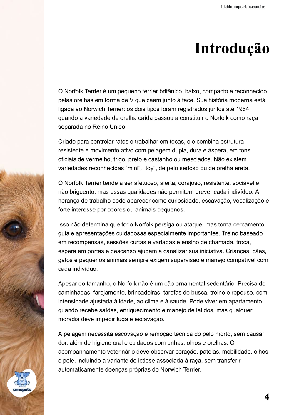 introdução do e-book Guia de Como Cuidar do Norfolk Terrier